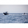 Zodiac 6.5 Open Gulfstream