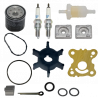 KIT REVISION BF8D/10D HONDA
